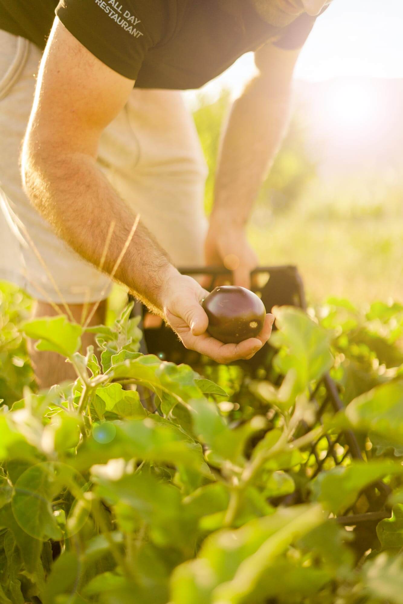 Στον κήπο μας